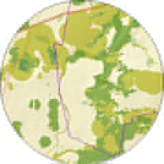 Tellurian